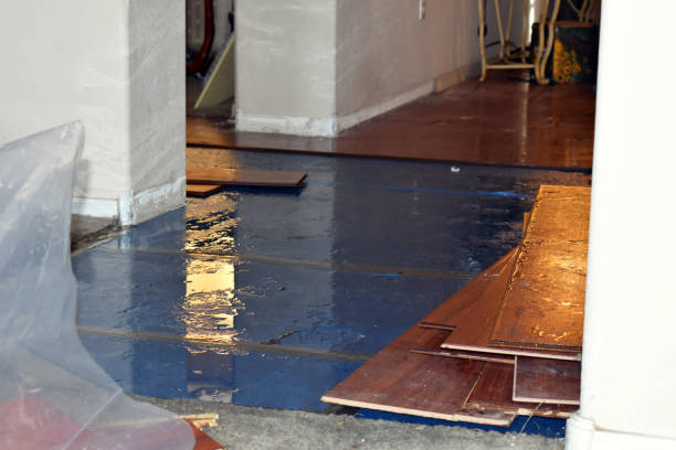 Professional Basement Flood Cleanup technician working in Ashville, AL